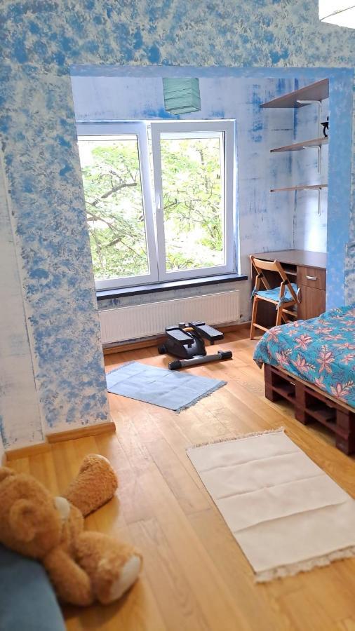 Daria Lorenzo Apartament Timişoara Eksteriør billede